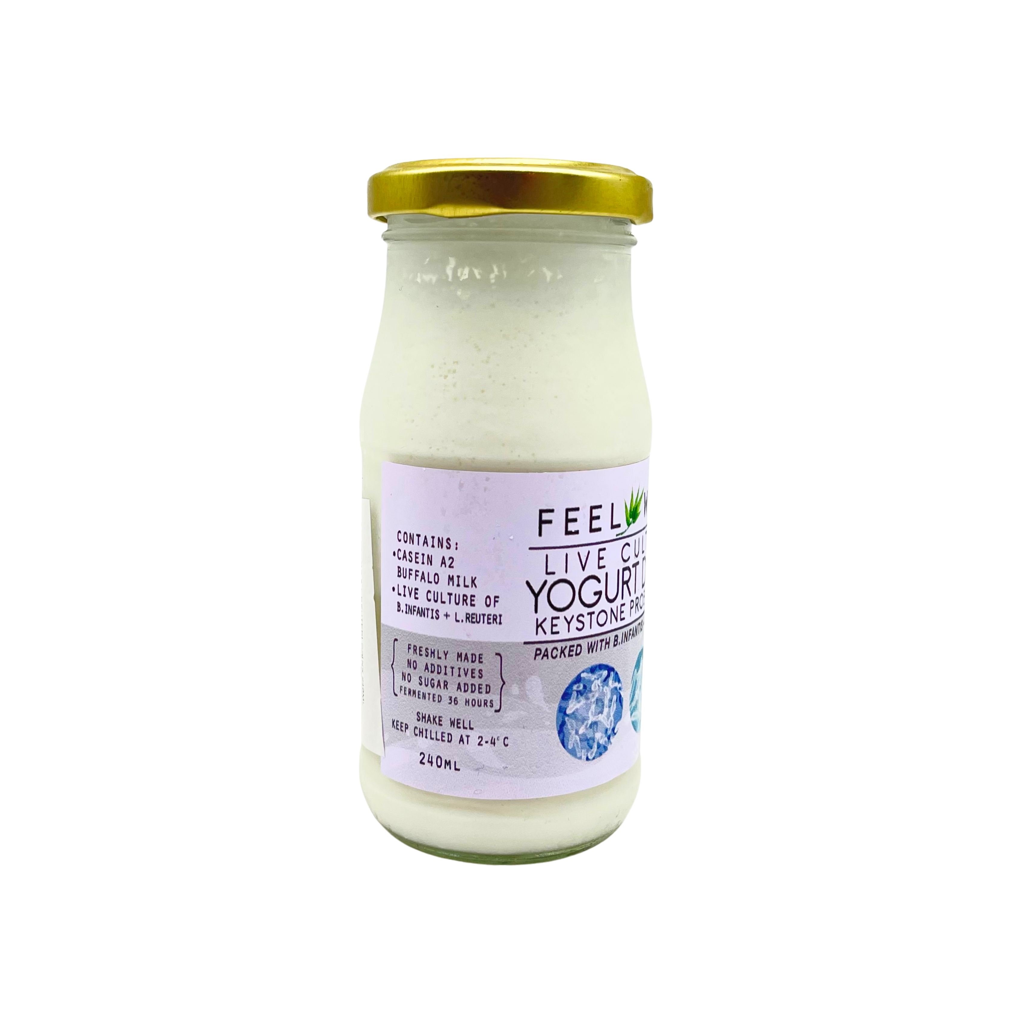 Feel Well - Keystone Probiotic Yogurt Drink (B. Infantis + L. Reuteri)