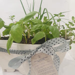 Organic Herbs in Stackable Pots