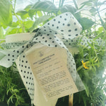 Organic Herbs in Stackable Pots