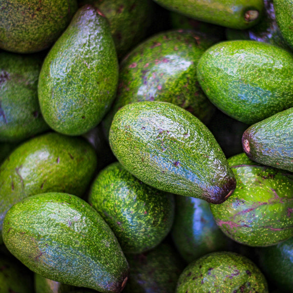 Avocados