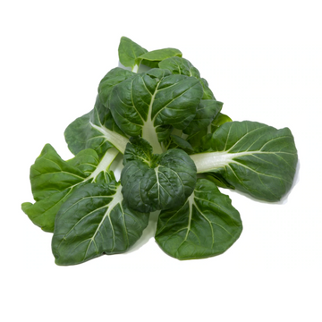 Herbivore — Baby Pak Choy