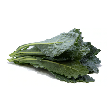 Herbivore — Black Tuscan Kale