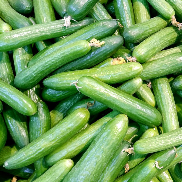 Cucumbers