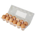 Feel Well – Bambu Organic Chicken Eggs
