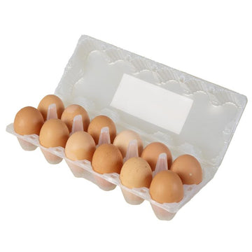 Feel Well – Bambu Organic Chicken Eggs