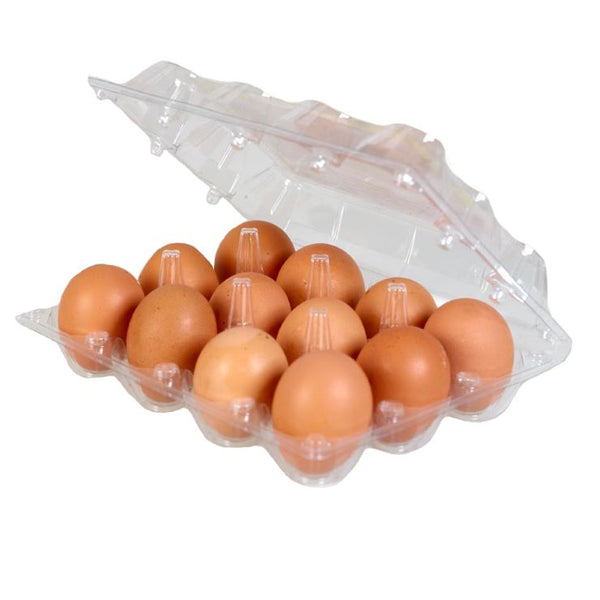 Feel Well – Bambu Organic Chicken Eggs