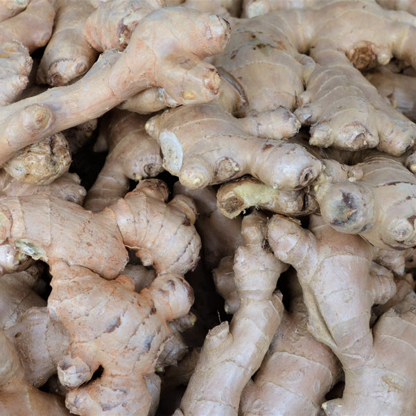 Ginger