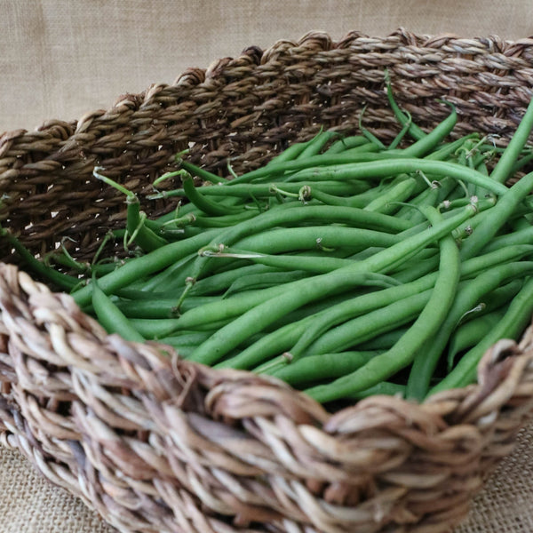 French Beans