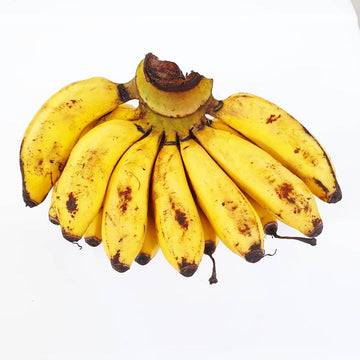 Latundan Banana