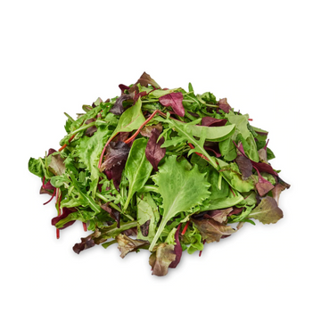 Herbivore — Mesclun Salad Mix