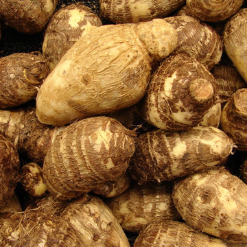 Taro Root