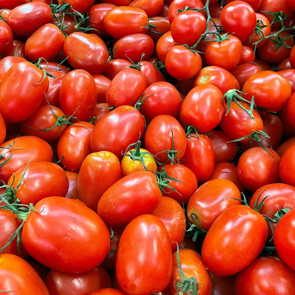 Native Tomatoes