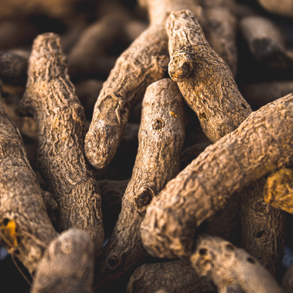 Turmeric