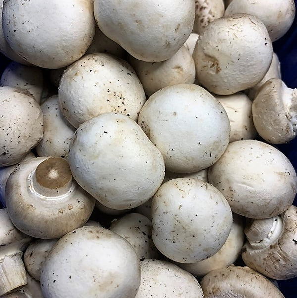 White Button Mushrooms