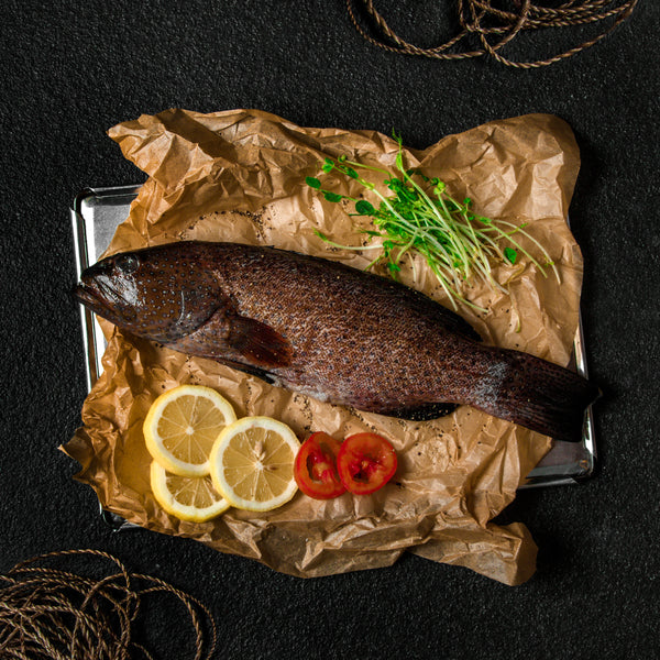Wild Caught – Lapu-Lapu (Black Coral Grouper)