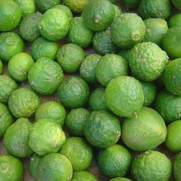 Kaffir Limes